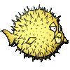 ihapomyd